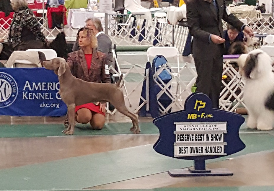 NOHS Best In Show