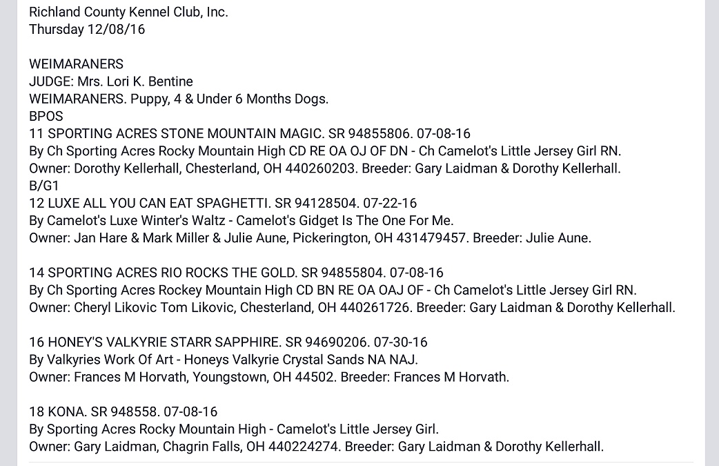 Weimaraner puppy class results